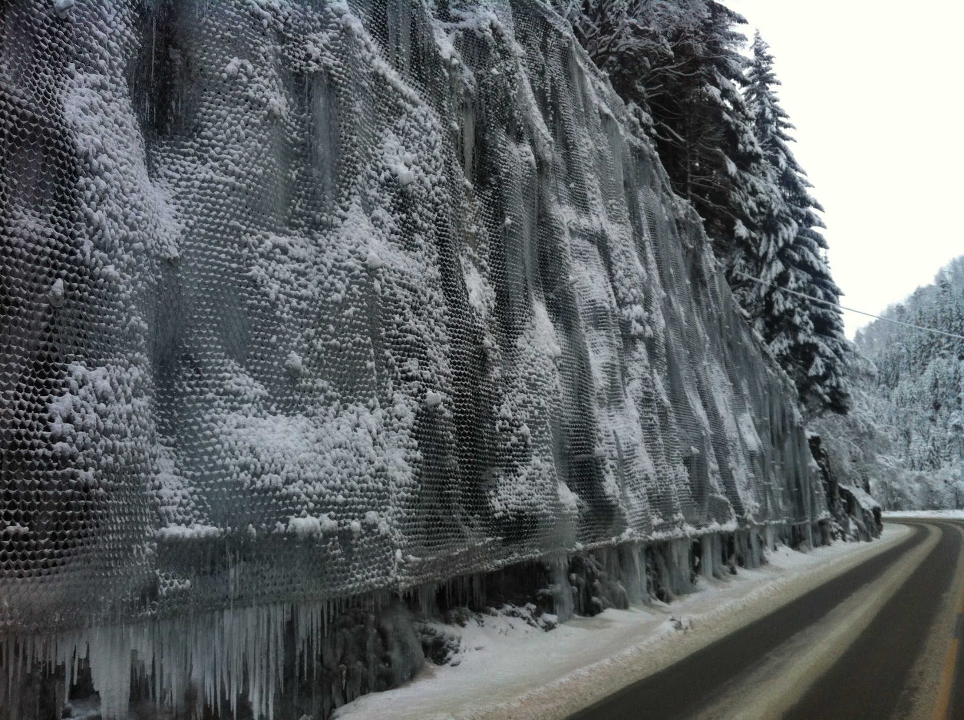 IMG_1236-e1421426727816